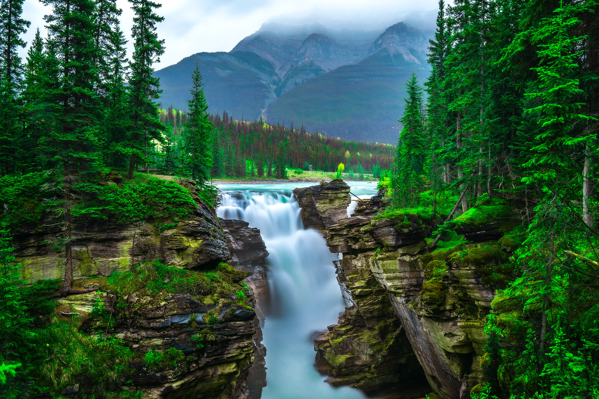 Nature of Canada