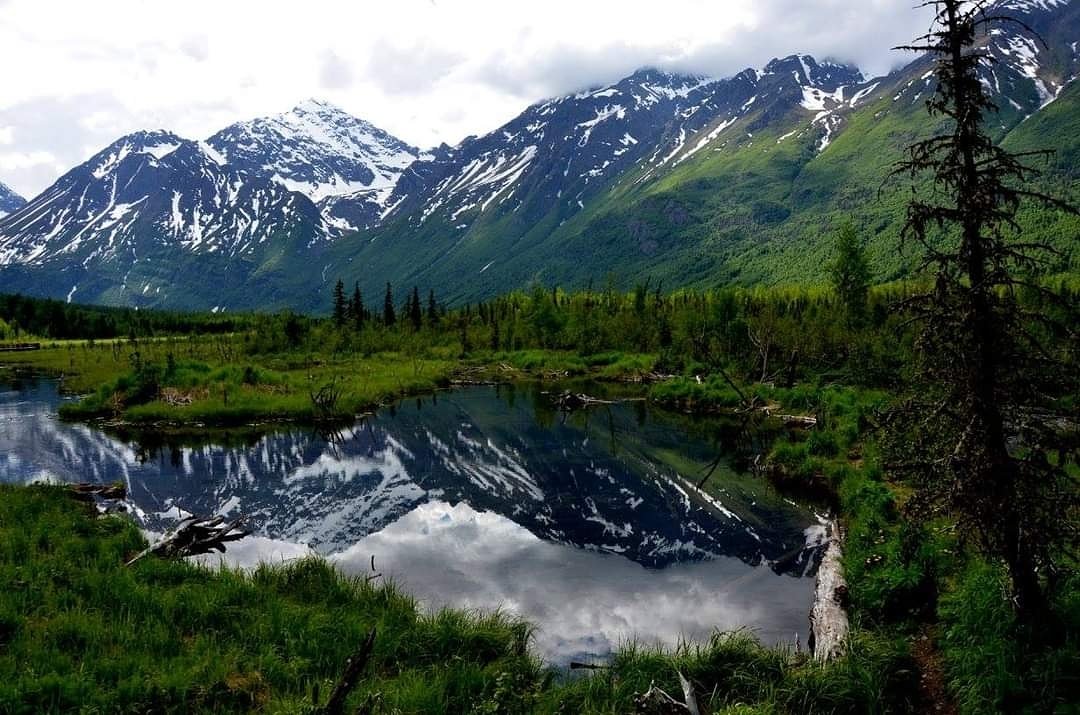 Chugach National Forest