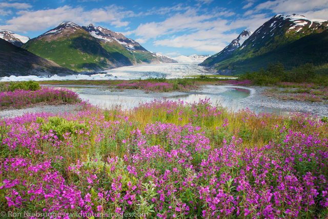 Chugach National Forest