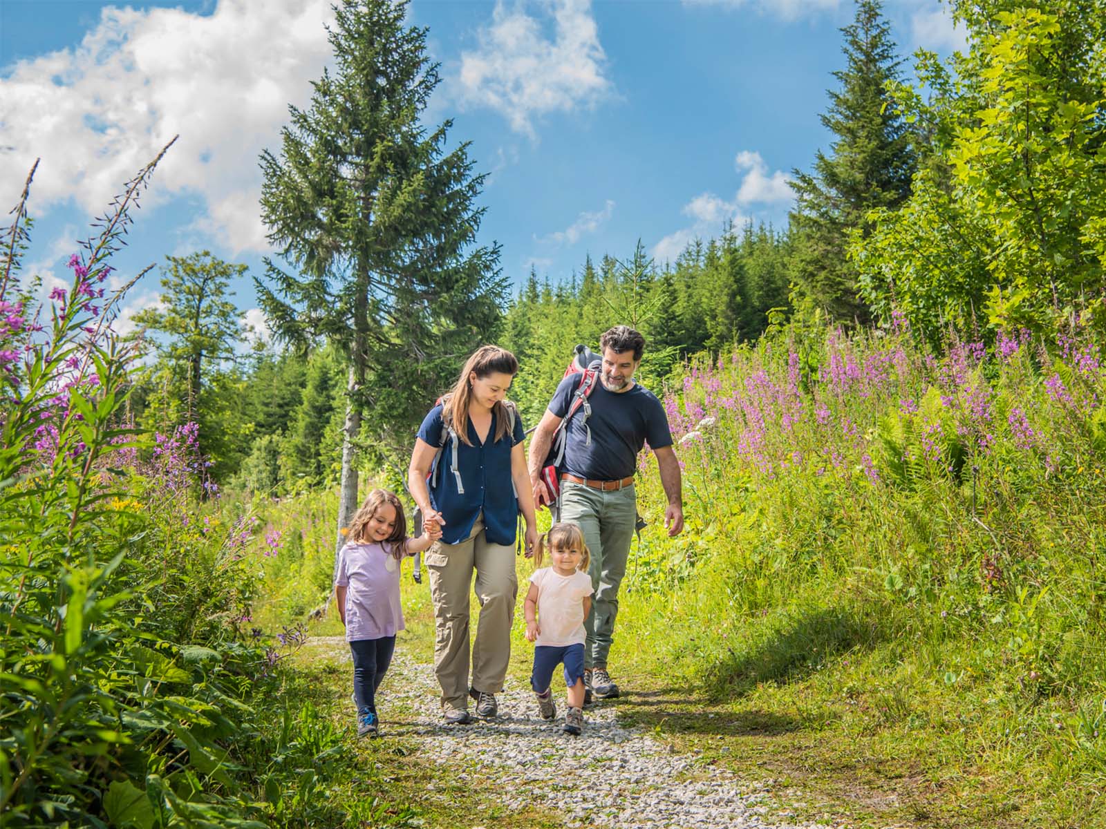 Beauty of Naturpark Gantrisch