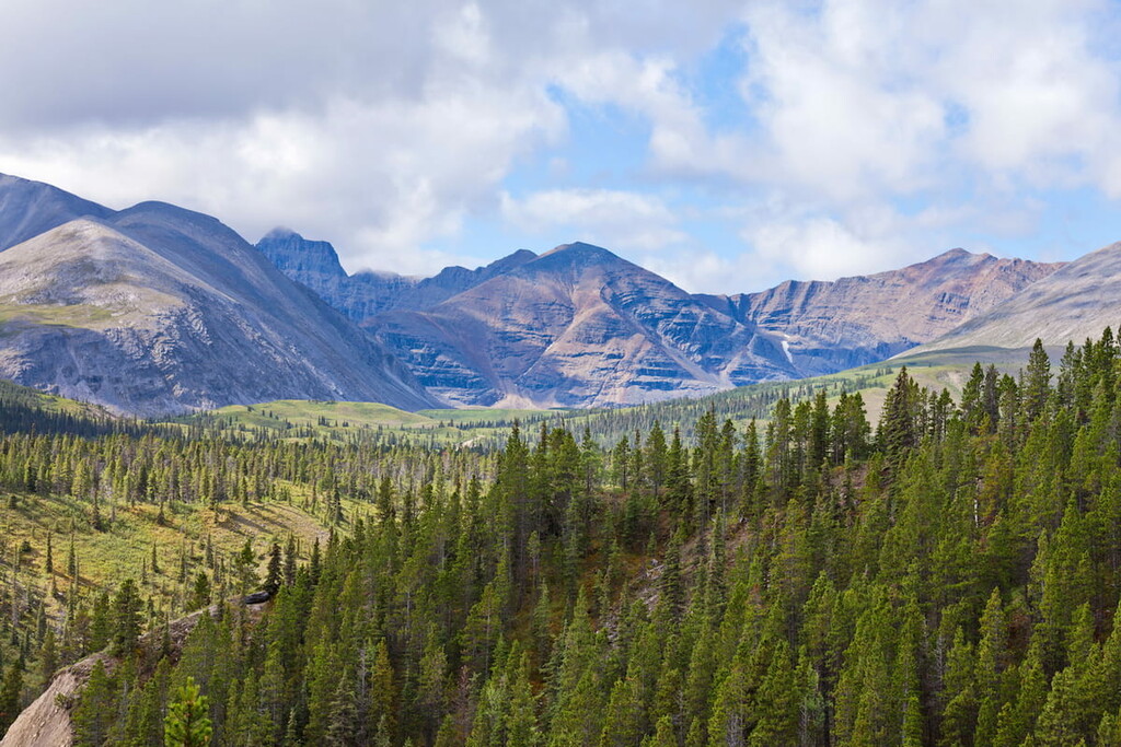 Willmore Wilderness Park